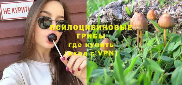 гидропоника Бикин