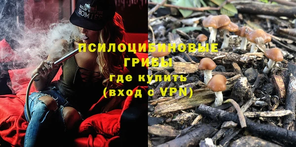мдпв Надым