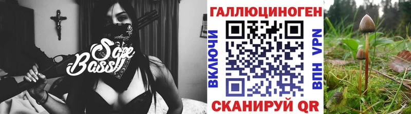 Псилоцибиновые грибы GOLDEN TEACHER  Заозёрный 